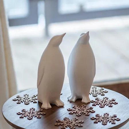 De Gamme à 1650 Avec Garage, Balcon Et Wifi - Fr-1-575-167 * Courchevel