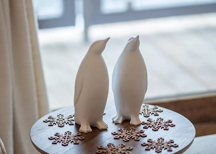 De Gamme A 1650 Avec Garage, Balcon Et Wifi - Fr-1-575-167 * Courchevel